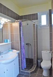 a bathroom with a shower and a toilet and a sink at Villa Beauty in Paliouri