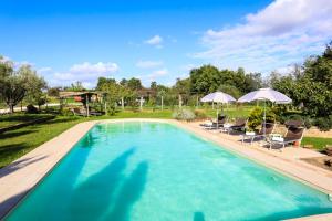 The swimming pool at or close to FicOlivo