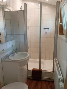 a bathroom with a shower and a sink and a toilet at Ferienhaus "Op'n Barg" in Holzbunge