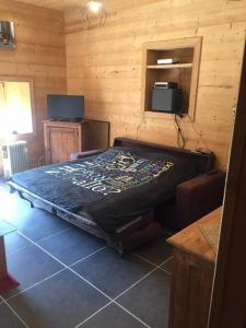 TV a/nebo společenská místnost v ubytování Appartement une chambre dans ancienne ferme