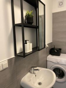 a bathroom with a sink and a washing machine at FarawayHomes Studio Klagenfurt #2 in Klagenfurt