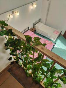 Habitación con cama y maceta en La Locanda, en Nociglia