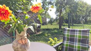 Κήπος έξω από το Garten-Haus +39 φωτογραφίες