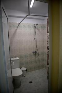 a bathroom with a toilet and a shower at Hotel Balevurov in Sandanski