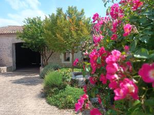 een tuin met roze bloemen voor een gebouw bij Logis de l'Olivier in Asnières-sur-Nouère