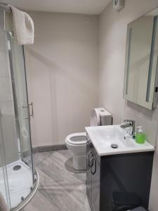 a bathroom with a toilet and a sink and a shower at O'Connors Bar Restaurant and Guesthouse in Dromore