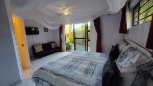 Maison Ambre Guesthouse tesisinde bir odada yatak veya yataklar