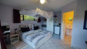 Maison Ambre Guesthouse tesisinde bir odada yatak veya yataklar