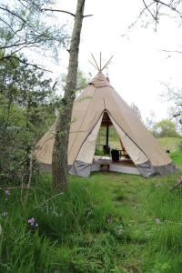 namiot opalany drzewami w obiekcie Tipi Texel w mieście 't Horntje