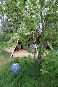 Tipi Texel外面的花园
