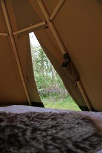 't HorntjeTipi Texel的相册照片