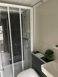 uma casa de banho com um chuveiro, um WC e um lavatório. em Houseboot Cormorant, lake view em Biddinghuizen