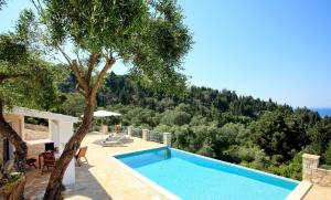 a swimming pool in a villa with a tree at Monodendri Blue in Georgoutsátika
