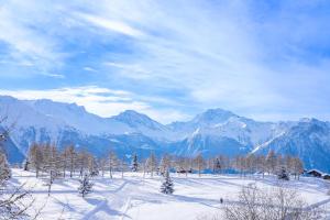 a snowy field with trees and mountains in the background at Valaisia 145 in Riederalp