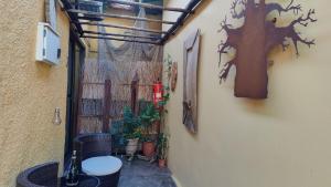 Windhoek şehrindeki Maison Ambre Guesthouse tesisine ait fotoğraf galerisinden bir görsel