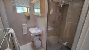 Maison Ambre Guesthouse tesisinde bir banyo