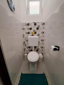 a small bathroom with a toilet and a shower at Milla Apartmanok in Eger +25 photos