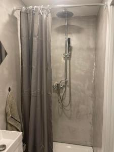科佩爾的住宿－Apartments Nina，浴室内配有淋浴帘。