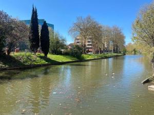 une rivière avec des canards nageant dans l'eau dans l'établissement Le petit Minimes au bord du Canal du Midi, à Toulouse