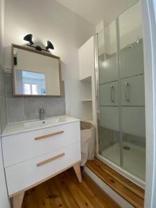 La salle de bains est pourvue d'un lavabo blanc et d'une douche. dans l'établissement Le petit Minimes au bord du Canal du Midi, à Toulouse