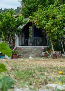 Gallery image of Soula's Apartment in Alonnisos Old Town +16 photos