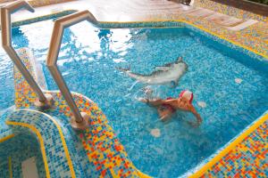 The swimming pool at or close to Apartments Montblanc Sella
