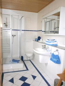 a bathroom with a shower and a toilet and a sink at Ferienwohnung Wilhelmi in Saarburg