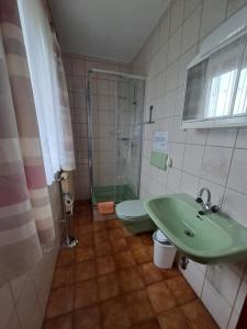 a bathroom with a green sink and a shower at Urlaub am Bauernhof Familie Kitting in Vorau