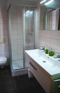 a bathroom with a sink and a shower at Spreewald - Idyll in Lübbenau