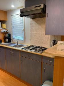 a kitchen with a stove and a sink at Camping les tilleuls du caminel Mobile home 97 in Sarlat-la-Canéda