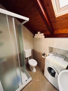 La salle de bains est pourvue de toilettes et d'un lave-linge. dans l'établissement Country House Bakicevo, à Čilipi