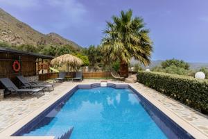 uma piscina com uma palmeira e uma casa em Dafni Villa a place to visit em Orné