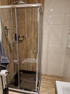 プシェムィシルにあるApartament Luxoryのバスルーム(ガラスドア付きのシャワー付)