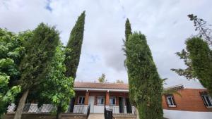 Hostal San Martin de Montalban外面的花园