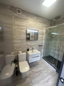 a bathroom with a toilet and a sink and a shower at Green Corner Villa in Torquay