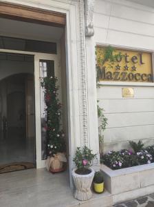 uma porta da frente de um hotel com vasos de plantas em Hotel Mazzocca em Caramanico Terme