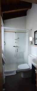 uma casa de banho com um chuveiro, um WC e um lavatório. em HOTEL RURAL LA ENGAÑA em Pedrosa