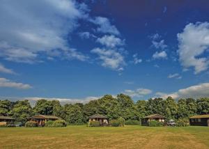 um campo com casas e árvores com um céu azul em Athelington Hall Farm Lodges em Horham