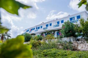 a white building with blue windows and plants at Blue Swan Studios in Lefkos Karpathou