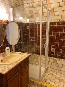 a bathroom with a shower and a sink and a mirror at Maison charmante - Roquebrune-sur-Argens - Terrasse et vue in Roquebrune-sur-Argens