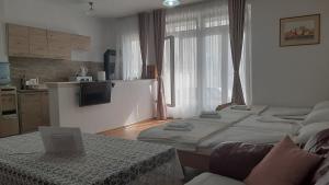 ein Wohnzimmer mit 2 Betten und eine Küche in der Unterkunft Apartment Jasna in Mostar