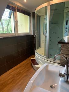 a bathroom with a sink and a shower at Pokoje Sunshine World Suites in Zakopane
