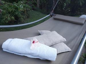 黛園郡的住宿－L' authentique，一组毛巾,坐在吊床上