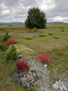 a garden with flowers and rocks in a field at Chata gościom rada in Ustrzyki Dolne