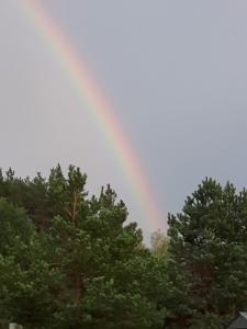 a rainbow in the sky over some trees at Chata gościom rada in Ustrzyki Dolne