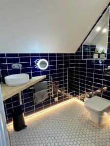 Emery Street Lodge في كامبريدج: حمام من البلاط الأزرق مع حوض ومرحاض