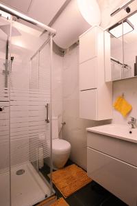 Koupelna v ubytování DB Bled Apartment