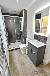 a bathroom with a sink and a toilet and a shower at Clarabel Studio Apartment - Stayseekers in Salisbury