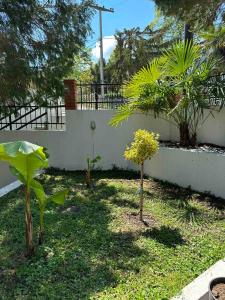 a garden with three small trees in front of a wall at Aqualux Apartments in Star Dojran