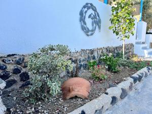 a garden with a large pot and plants in the ground at Family Villages Santorini in Vlychada Beach